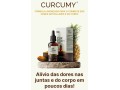 curcumy-combate-as-dores-articulares-e-do-corpo-small-0