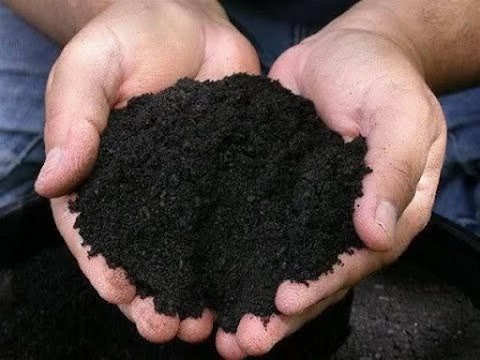 terra-com-adubo-organico-pacote-20-kg-big-1