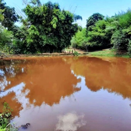 sitio-a-venda-em-caconde-sp-r95000000-big-0