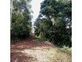 chacara-a-venda-em-pocos-de-caldas-mg-20000m2-bairro-colinasr46000000-small-3