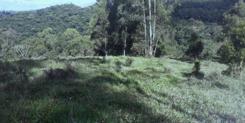 chacara-a-venda-em-pocos-de-caldas-mg-20000m2-bairro-colinasr46000000-big-4