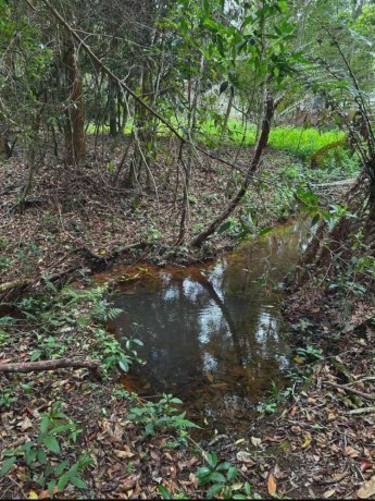chacara-a-venda-em-pocos-de-caldas-mg-bairro-colinasr75000000-big-2